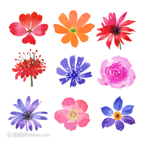 花卉組合