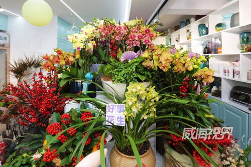 威海 花卉市場 寶藏指南
