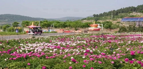 濟南市特色林果花海旅游季暨公園景區(qū)花朝節(jié)開幕
