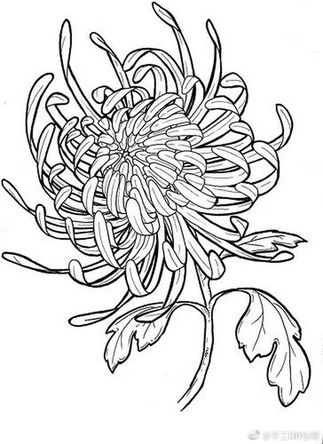 花卉簡(jiǎn)筆畫(huà)