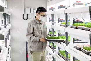 植物工廠的真正潛力及目的之一 食品安全