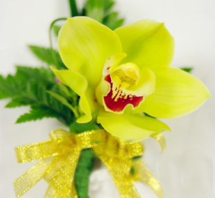 昆明花卉聯(lián)盟,昆明聯(lián)盟路花卉圖片|昆明花卉聯(lián)盟,昆明聯(lián)盟路花卉產(chǎn)品圖片由昆明蝶戀婚慶(花卉服務(wù)部)公司生產(chǎn)提供-