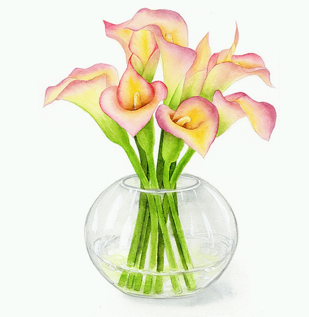 董搞搞作品,水彩花卉,馬蹄蓮