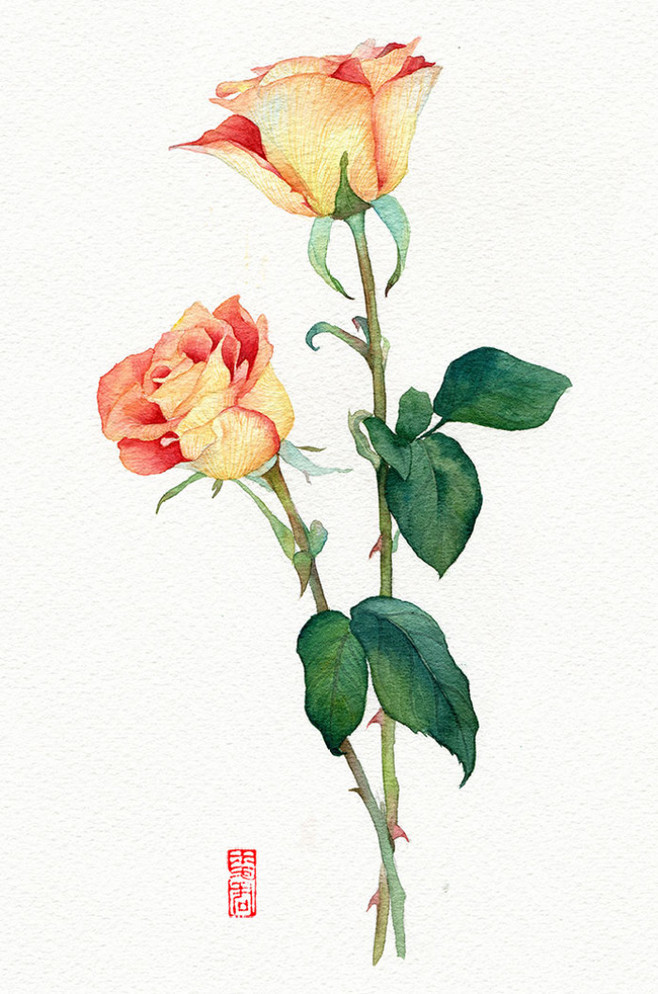 水彩 花卉 手繪 By 小麥君
