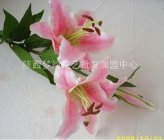供應(yīng)絹花批發(fā) 絹花 絹花批發(fā)市場 陜西夢幻花藝批發(fā)加盟中心 仿真花 婚慶用品 十字繡