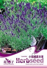 【熏衣草植物盆栽】最新最全熏衣草植物盆栽 產(chǎn)品參考信息