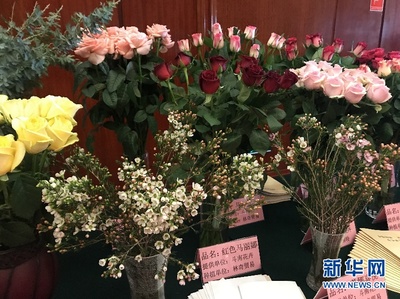 新華網(wǎng):第十九屆中國昆明國際花卉展13日開幕各式花卉讓人眼“花”繚亂