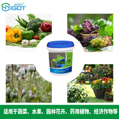 根系特壯液體水溶肥 果樹(shù)膨果肥 甜瓜葉面肥廠家圖片_高清圖_細(xì)節(jié)圖-賽固特