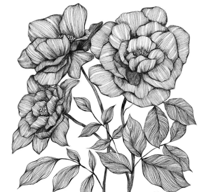 創(chuàng)意花卉圖