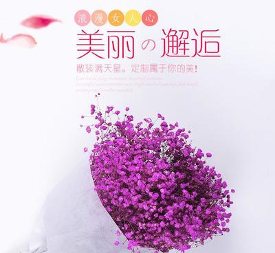 【云南干花批發(fā) 散裝滿天星花束 產(chǎn)地直銷純自然風干花束永生花】價格_廠家_圖片 -