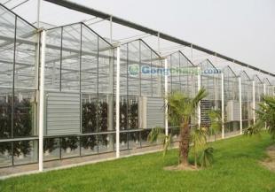 供應(yīng)園林綠化 濰坊園林綠化 濰坊花卉 濰坊憶美園林溫室建設(shè)_農(nóng)副產(chǎn)品_世界工廠網(wǎng)中國產(chǎn)品信息庫