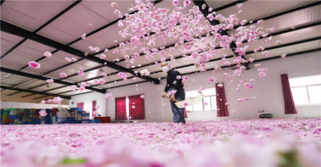 南通海安:栽下產(chǎn)業(yè)“花” 結(jié)出振興“果”