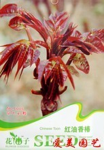 【盆栽室內(nèi)花卉批發(fā)】最新最全盆栽室內(nèi)花卉批發(fā) 產(chǎn)品參考信息