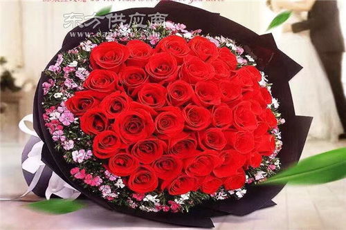 商丘花卉園藝培訓(xùn)學(xué)校圖片