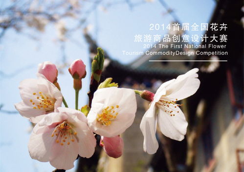 花卉旅游產(chǎn)品設計大賽
