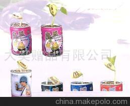 【寵物花卉,魔豆各地代理(圖)】?jī)r(jià)格,廠家,圖片,娛樂休閑產(chǎn)品代理加盟,大美禮品 -
