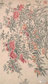 陳淳 花卉圖精品冊(cè) 大都會(huì)博物館藏