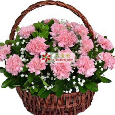 路橋區(qū)母親節(jié)訂花,臺(tái)州路橋區(qū)花店,為您傳遞愛的溫暖
