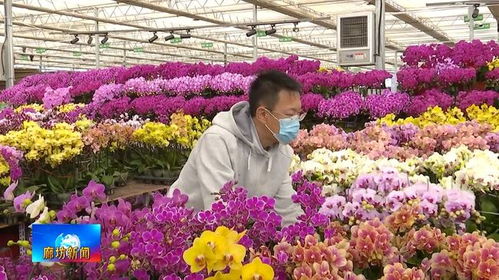 廣電關(guān)注丨 暢通交通 血脈 實現(xiàn)互聯(lián)互通新突破
