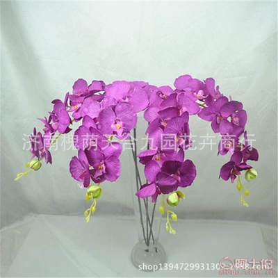【蝴蝶蘭真花裝飾花假花絹花批發(fā)仿真植物特價(jià)熱銷】濟(jì)南槐蔭天合九園花卉商行 - 產(chǎn)品庫