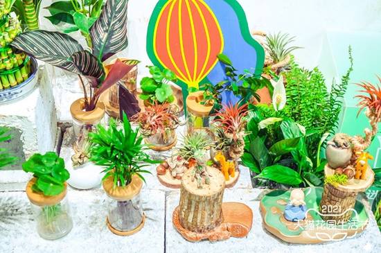 這里有個浪漫的花園生活節(jié)盛大開幕